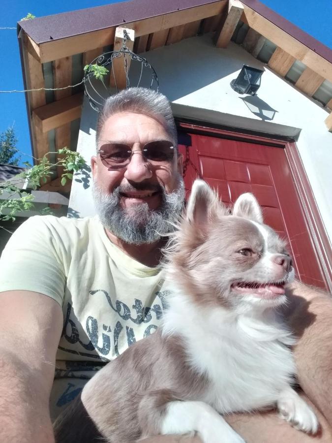 Dumbrava Soarelui Ξενοδοχείο Μπρασόβ Εξωτερικό φωτογραφία